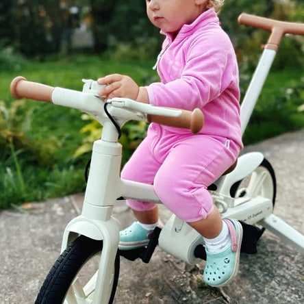 Convertible C-Bike Learning Bike