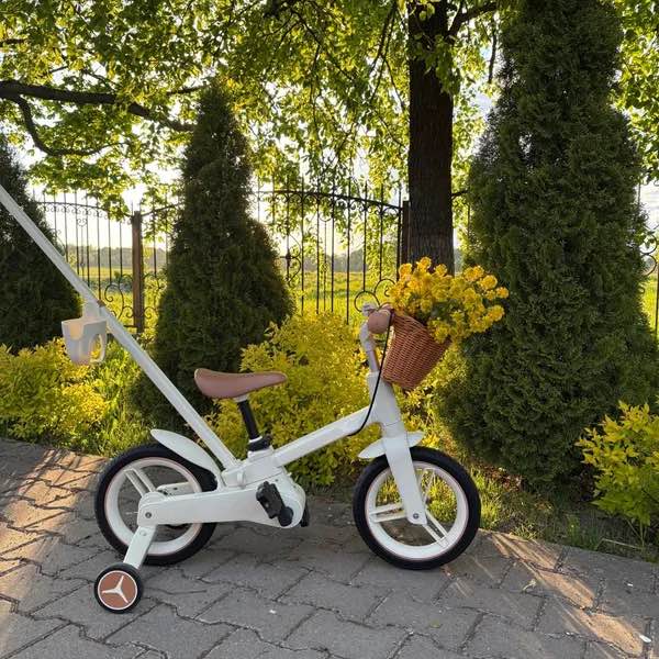 Convertible C-Bike Learning Bike