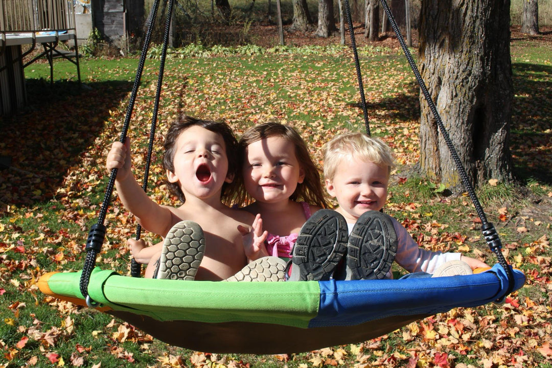 CircleCushion Tree Swing