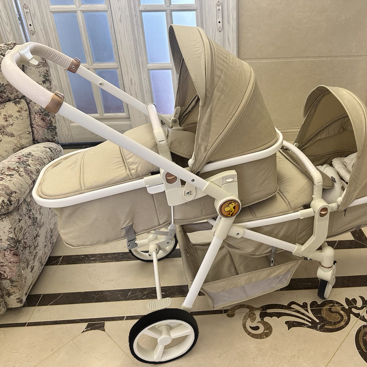 Portable Tandem Stroller & Carrier Seats