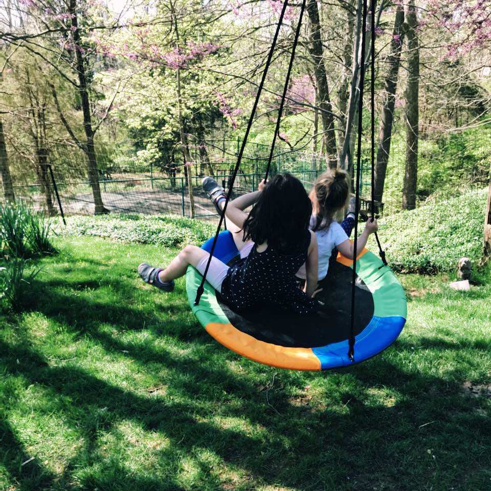 CircleCushion Tree Swing