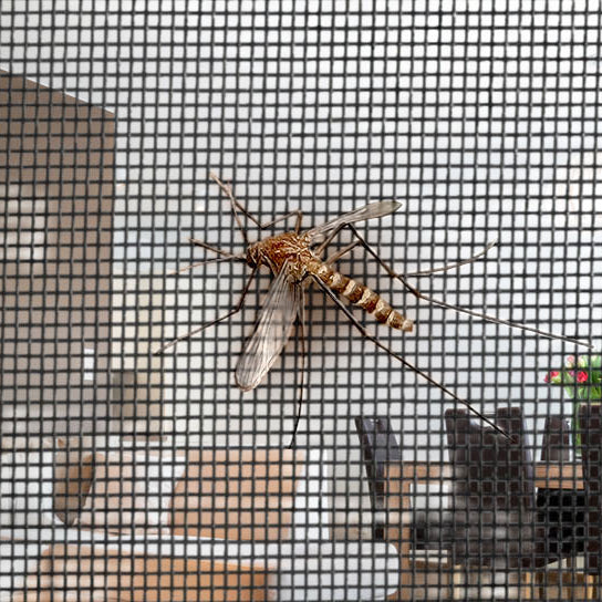 Stay‑Flat Magnetic Mesh Door