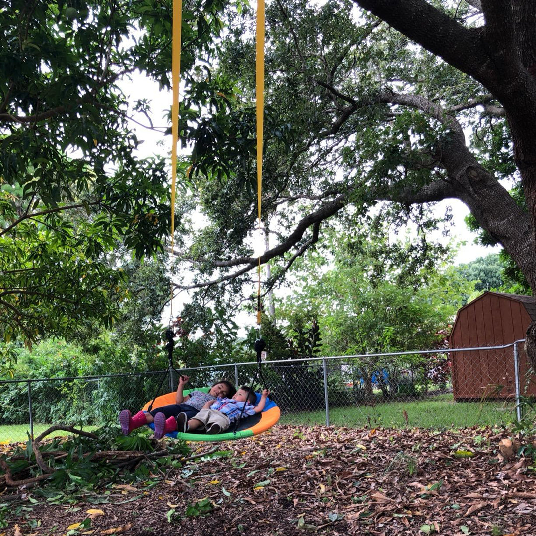 CircleCushion Tree Swing
