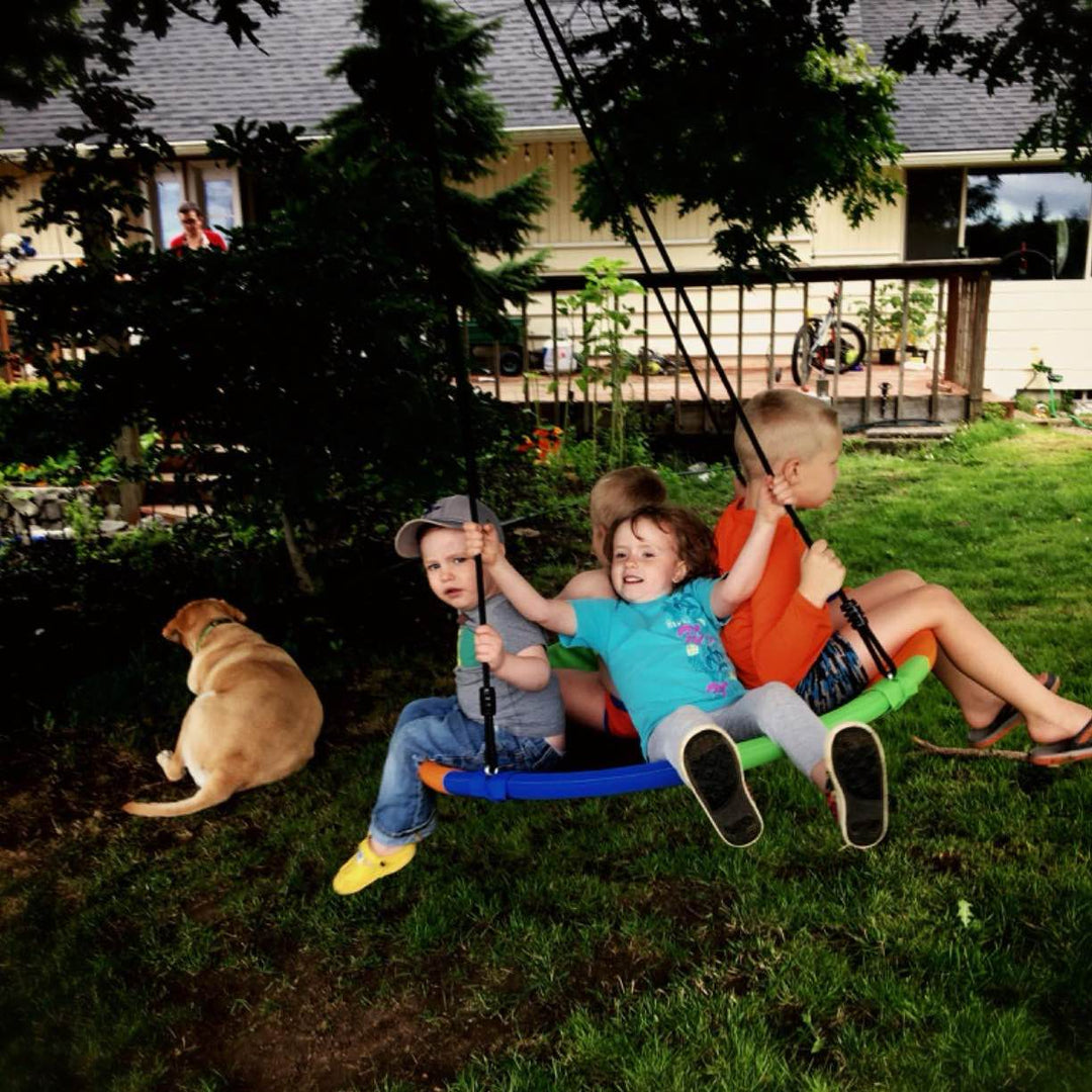CircleCushion Tree Swing