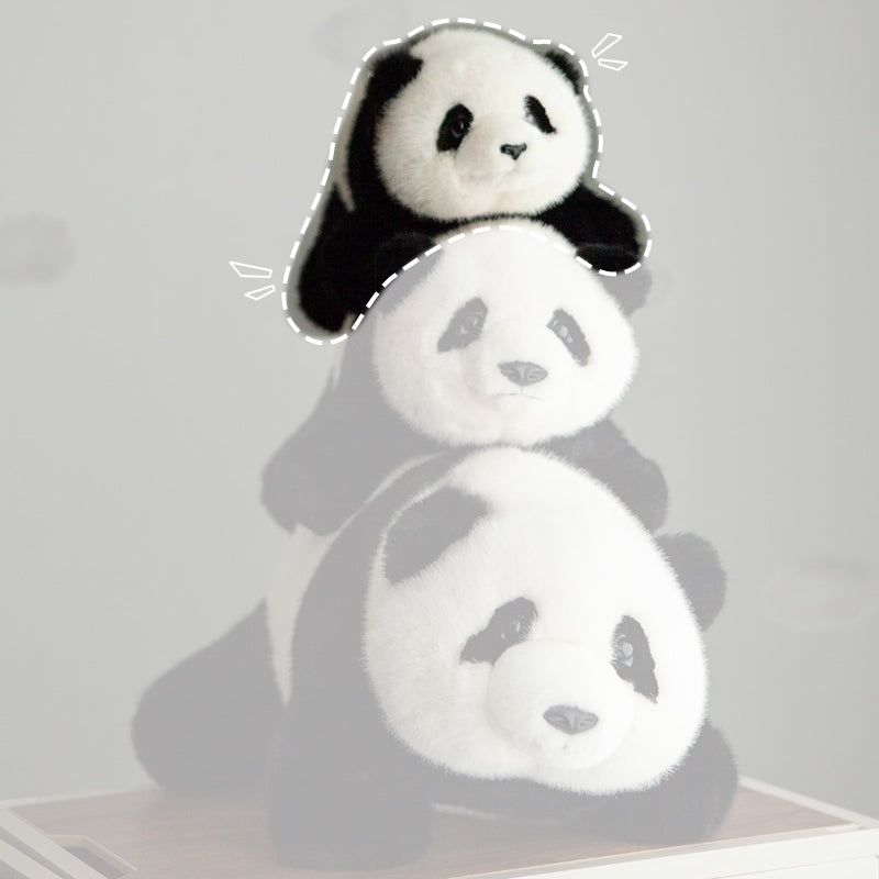 Cuddly Panda Plush