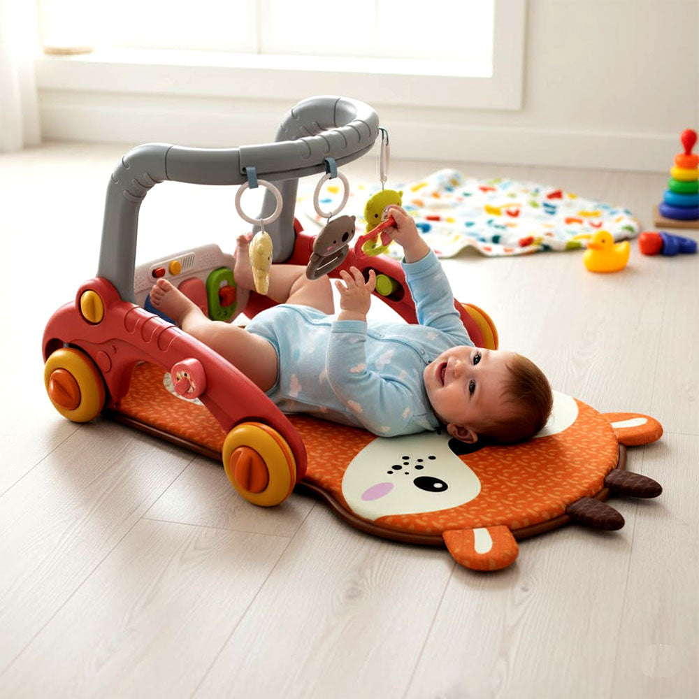 6-in-1 Baby PlayGym