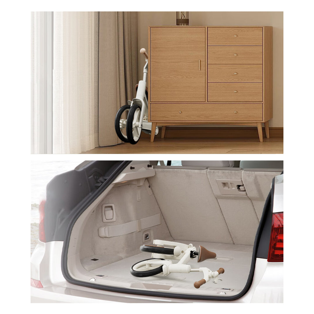 Convertible C-Bike Learning Bike