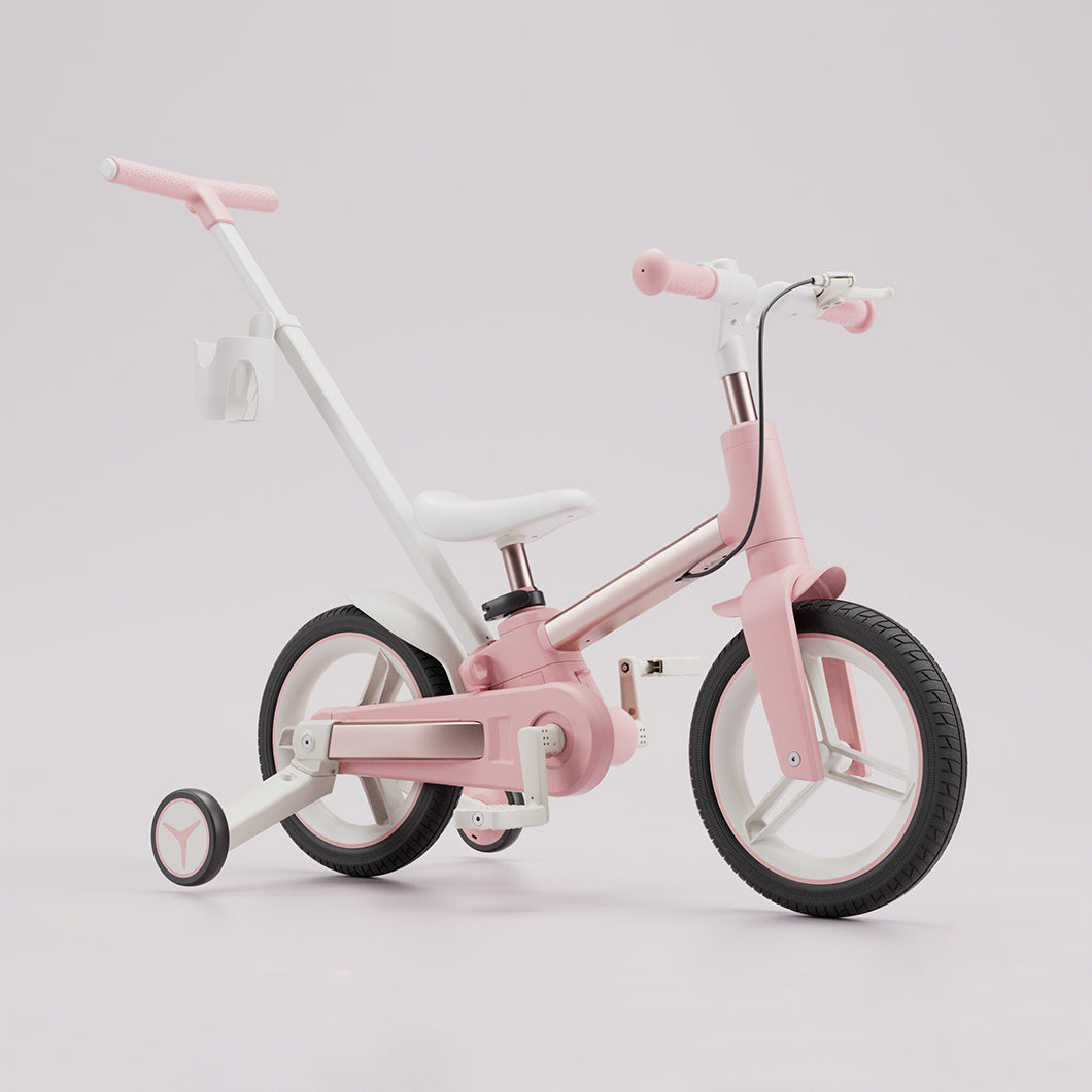 Convertible C-Bike Learning Bike