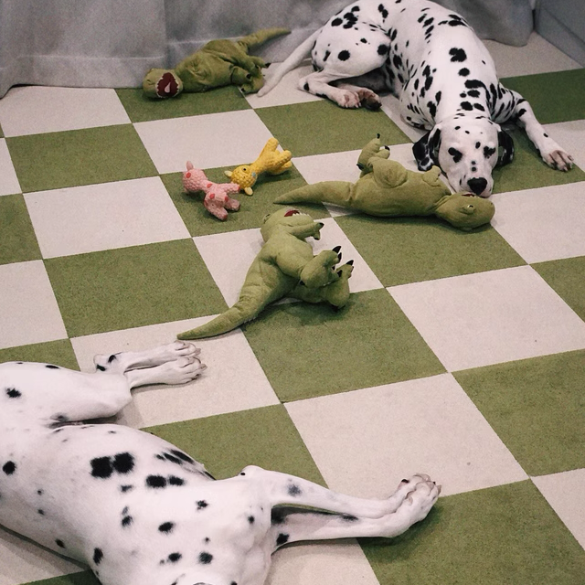 Smooth Surface Floor Tiles