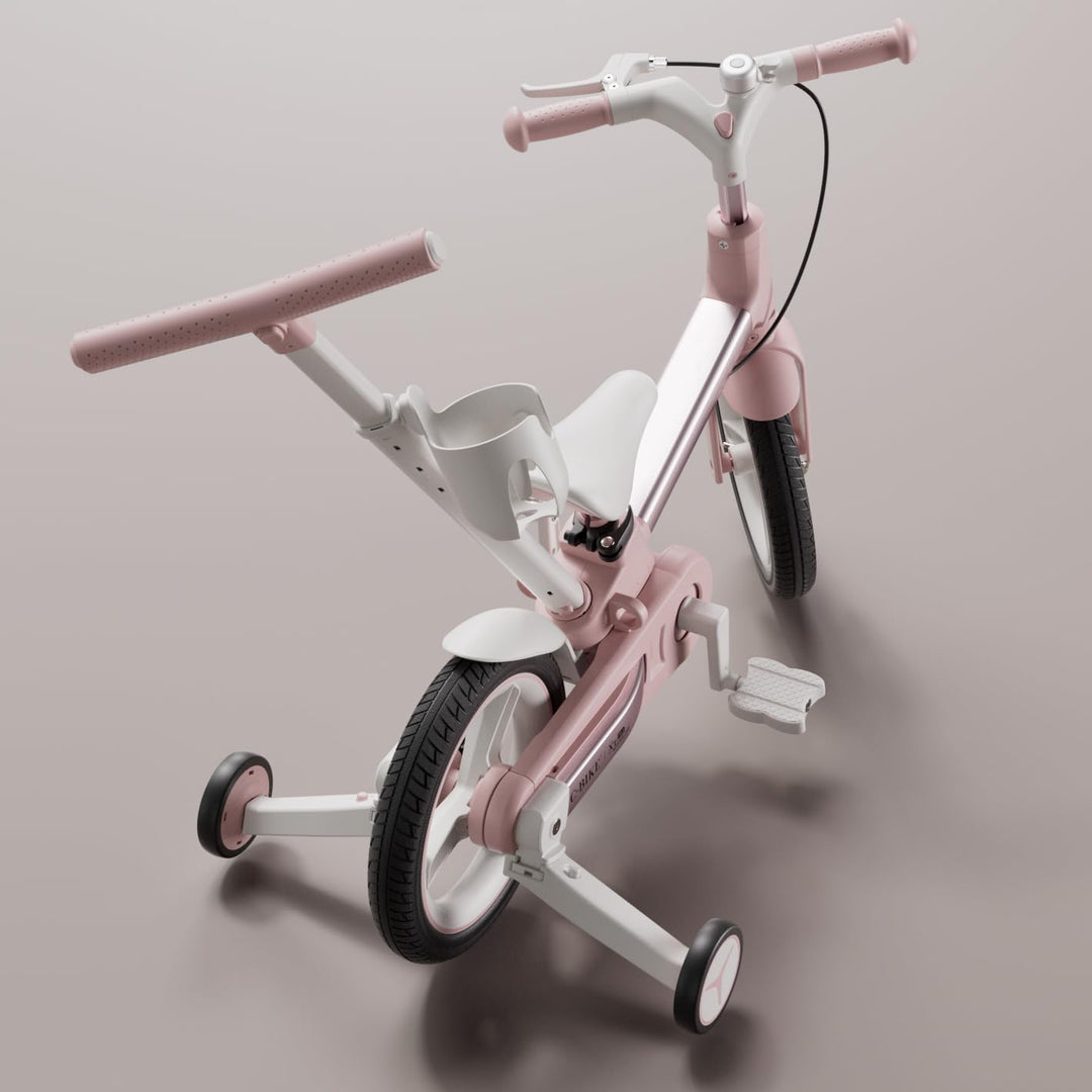 Convertible C-Bike Learning Bike