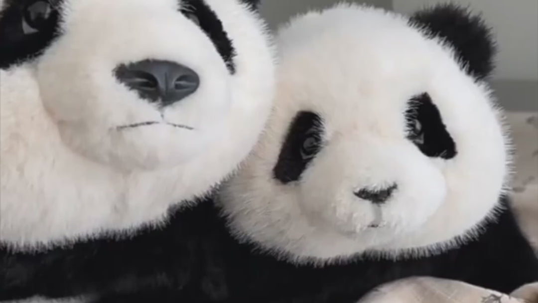 Critter Cuddles Loveys for Babies